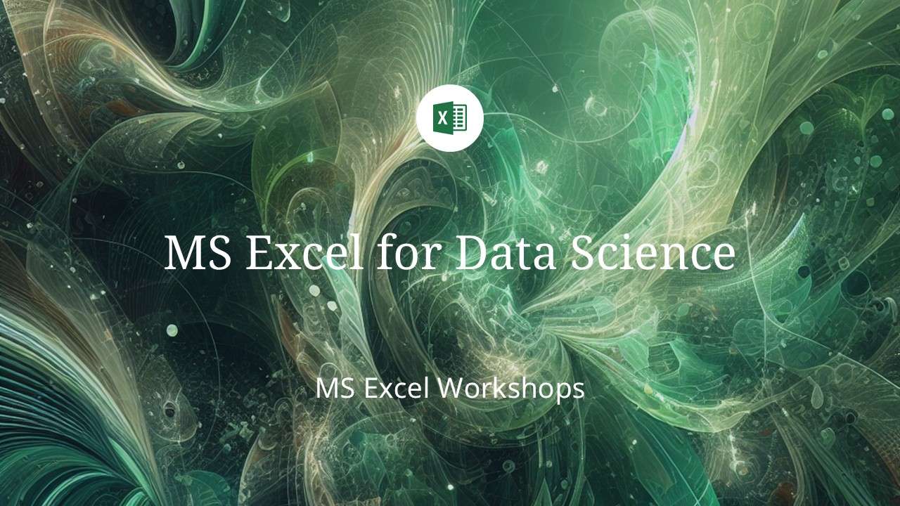 MS Excel Workshops